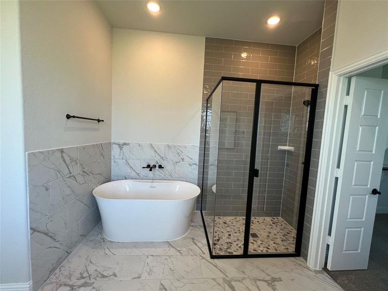 Full bathroom featuring tile walls, a stall shower, a freestanding tub, recessed lighting, and a wainscoted wall