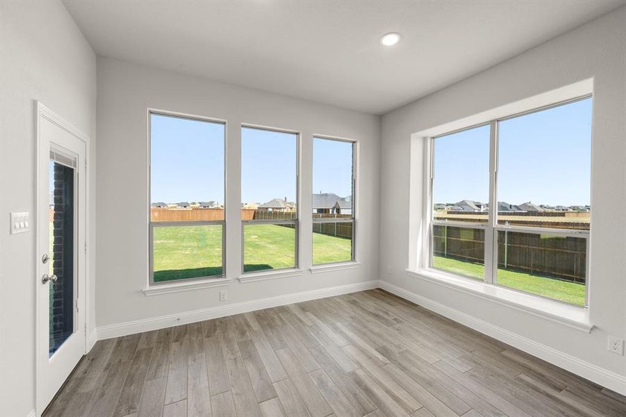 116 Grey wolf- Nook-2460 116 Grey wolf- Nook-2460