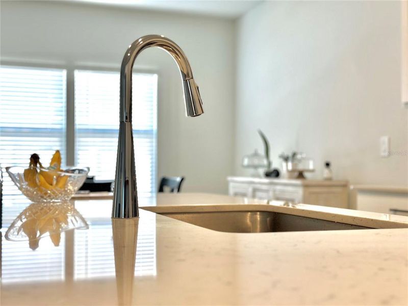 Close-up of interior finishes inside a home in Pioneer Ranch, Ocala (Image 20).