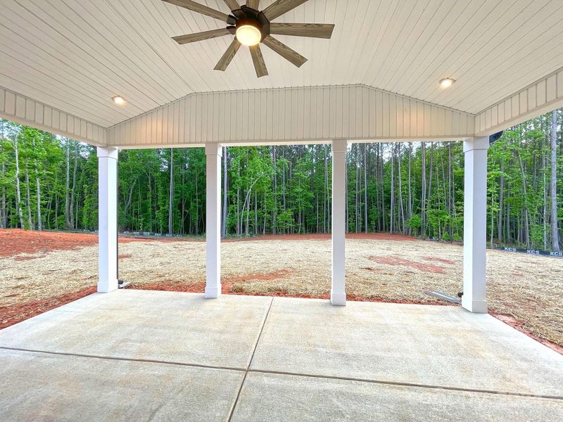 Covered Back Patio