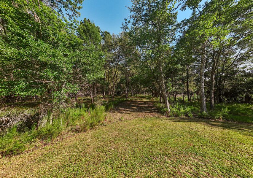 Natural landscape and outdoor views near  in Edisto Island (Image 31).