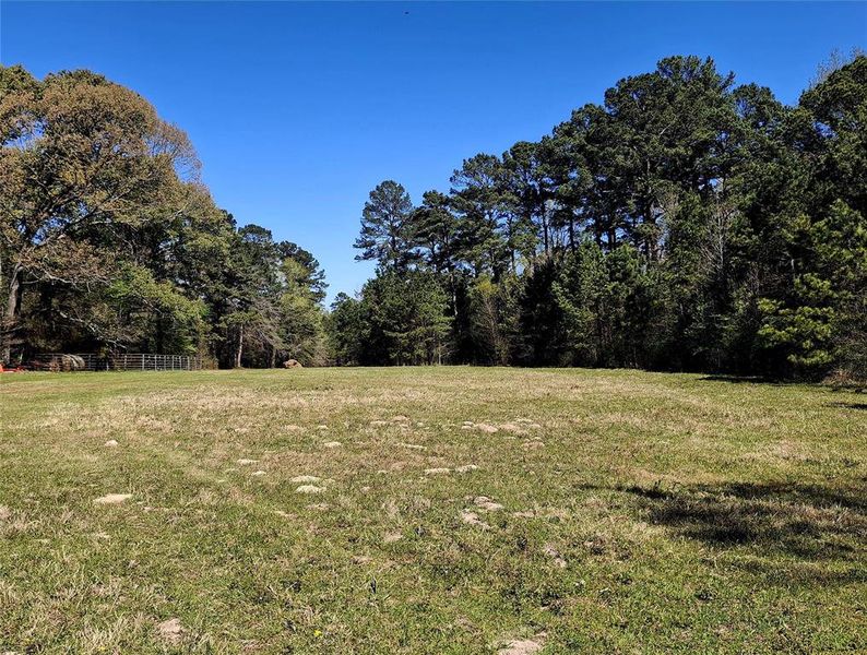 Natural landscape and outdoor views near  in Jacksonville (Image 7).