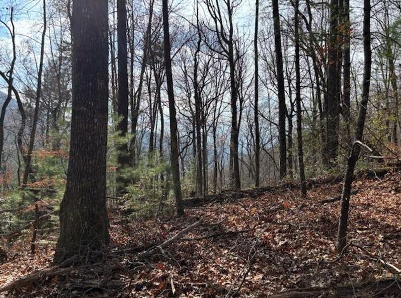 Natural landscape and outdoor views near  in Sky Valley (Image 7).