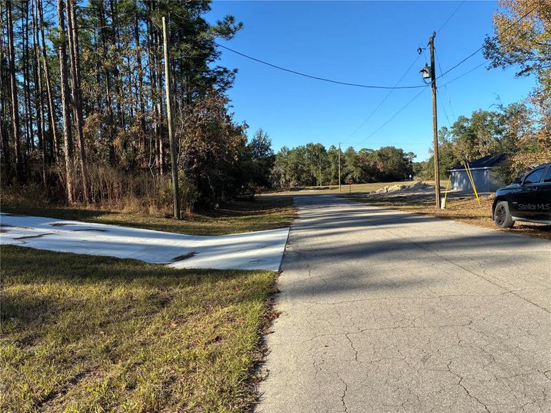 Natural landscape and outdoor views near  in Ocala (Image 25).