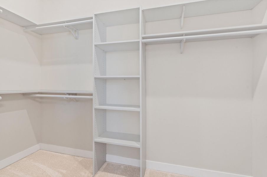 Walk in closet featuring light carpet