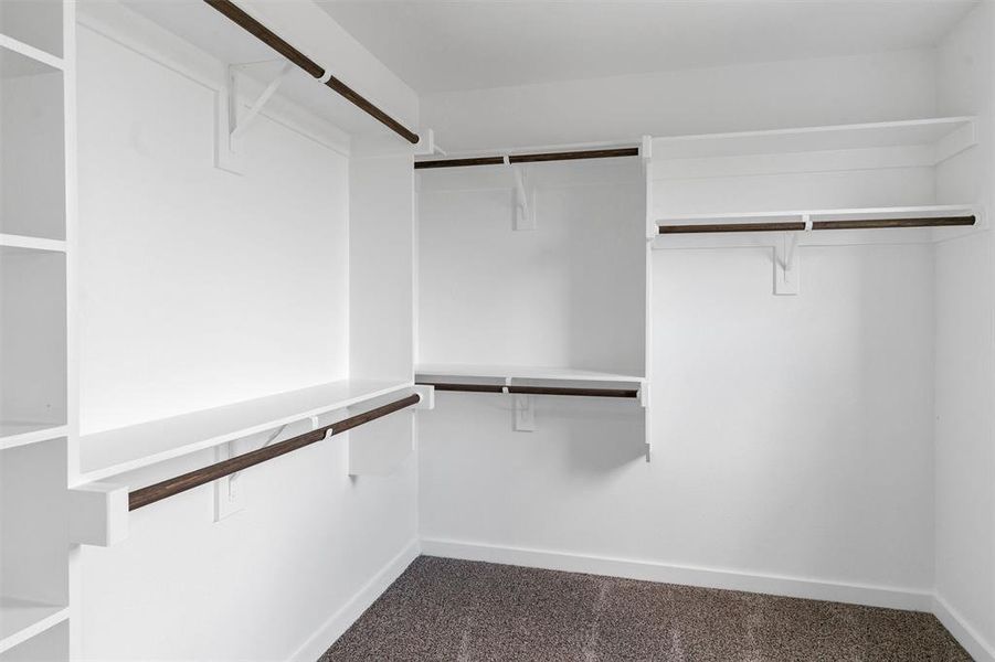 Walk in closet with carpet