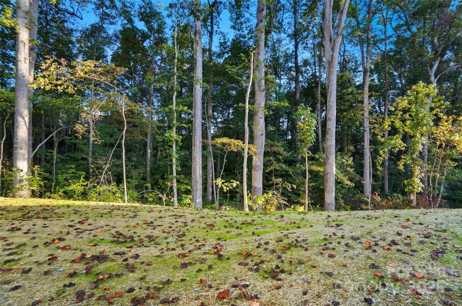 Private / Quite Back Yard