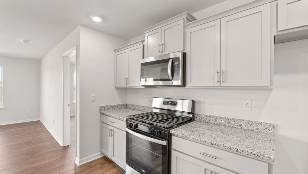 Furnished interior view inside a new home in Gibson Grove, Laurens (Image 8).