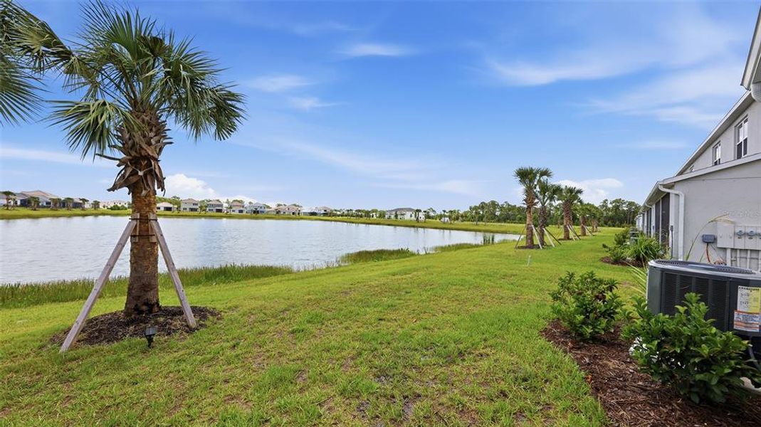 Natural landscape and outdoor views near  in Sarasota (Image 73).