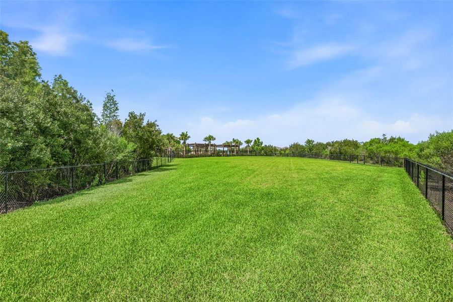 Natural landscape and outdoor views near Woodcreek in Wesley Chapel (Image 33). Natural landscape and outdoor views near Woodcreek in Wesley Chapel (Image 33).