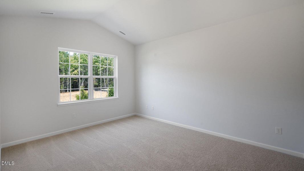 75-tobacco-woods-015