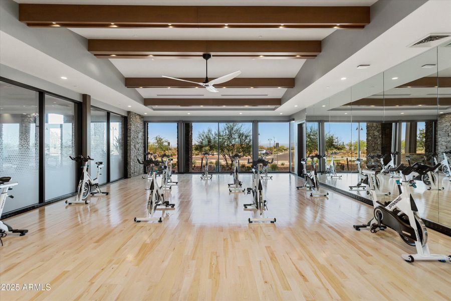 48-Saguaro-Sun City Festival 48-Saguaro-Sun City Festival