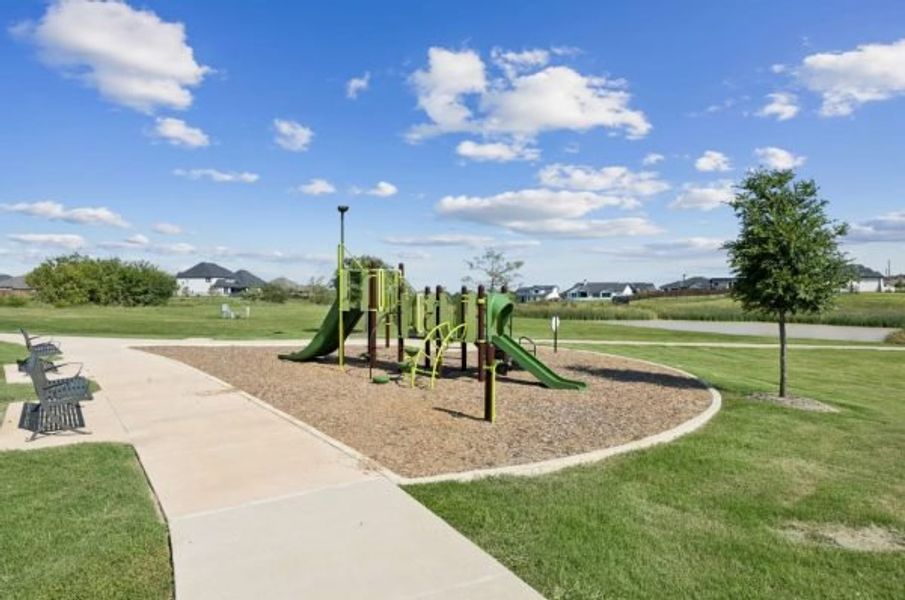 Community amenities in The Vines, Haslet (Image 10).
