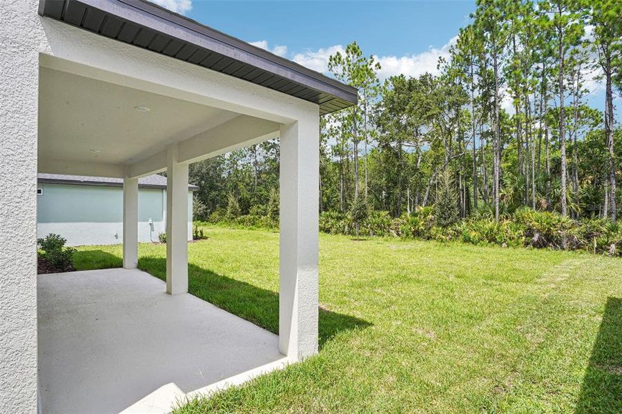 Exterior details and patio area of a home in Ridgehaven - Signature Series, Ormond Beach (Image 26).