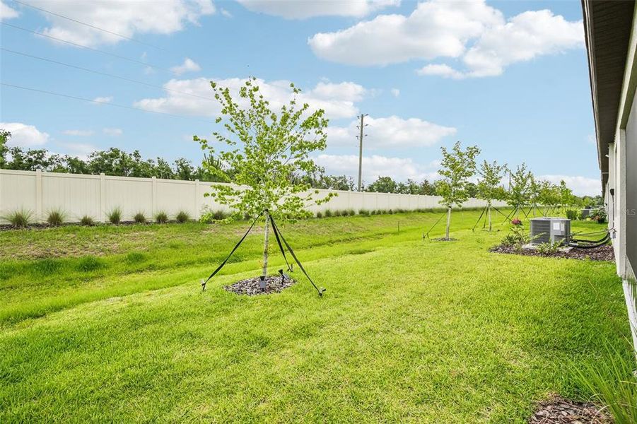 Exterior details and patio area of a home in Prosperity Lakes Active Adult, Parrish (Image 4).