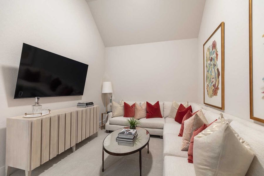 Entertainment Room