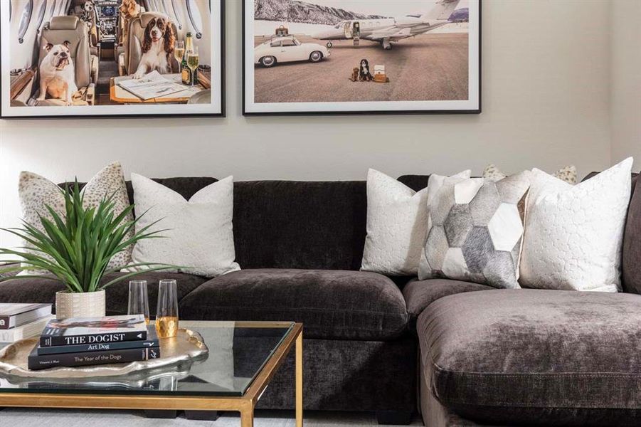 Entertainment Room Entertainment Room