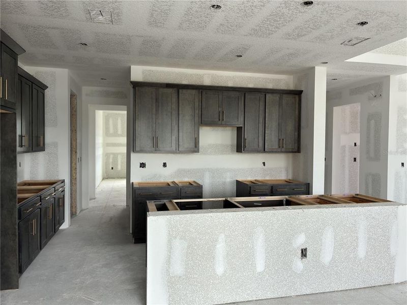 In-progress construction of a new home in Oakfield Trails, Parrish, FL (Image 21).