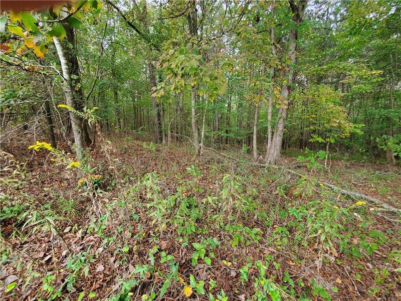 Natural landscape and outdoor views near in Resaca (Image 47). Natural landscape and outdoor views near in Resaca (Image 47).