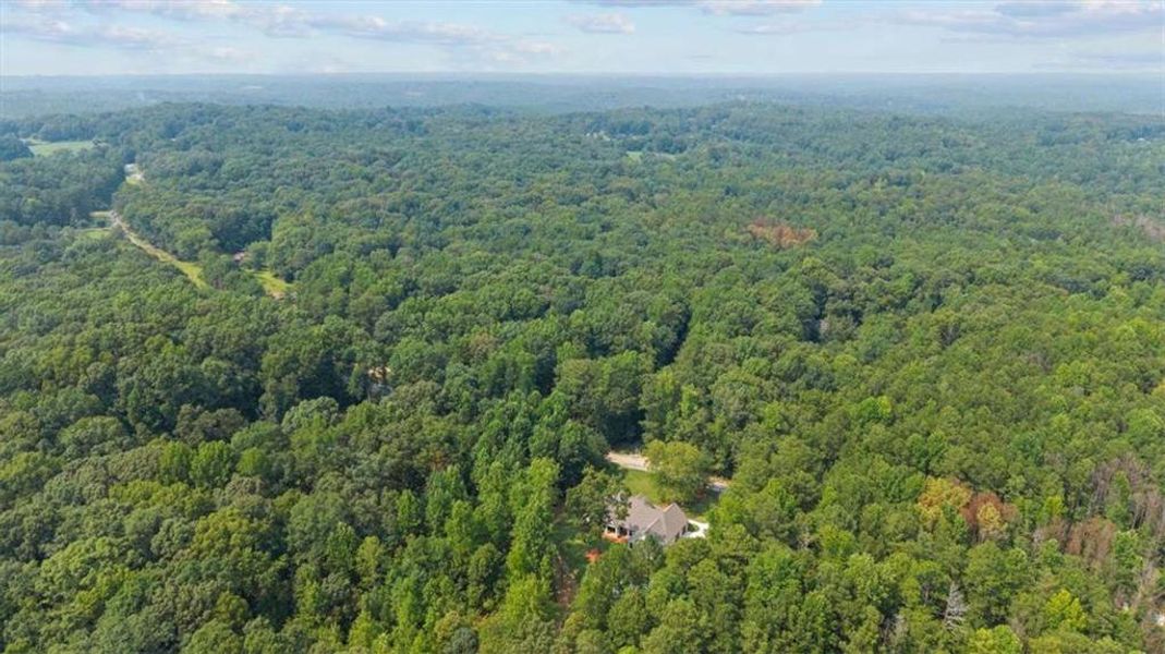 Natural landscape and outdoor views near  in Carrollton (Image 53).