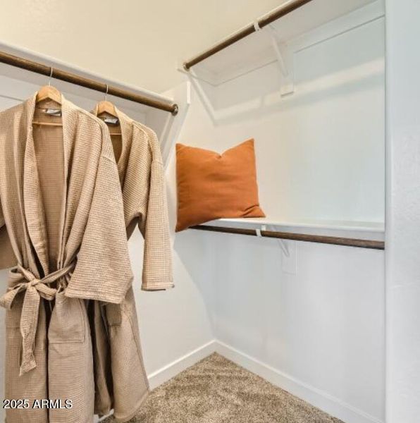 Owners Walk in Closet Owners Walk in Closet