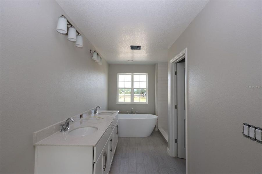 Furnished interior view inside a new home in Bay Lake Farms, St. Cloud (Image 8).