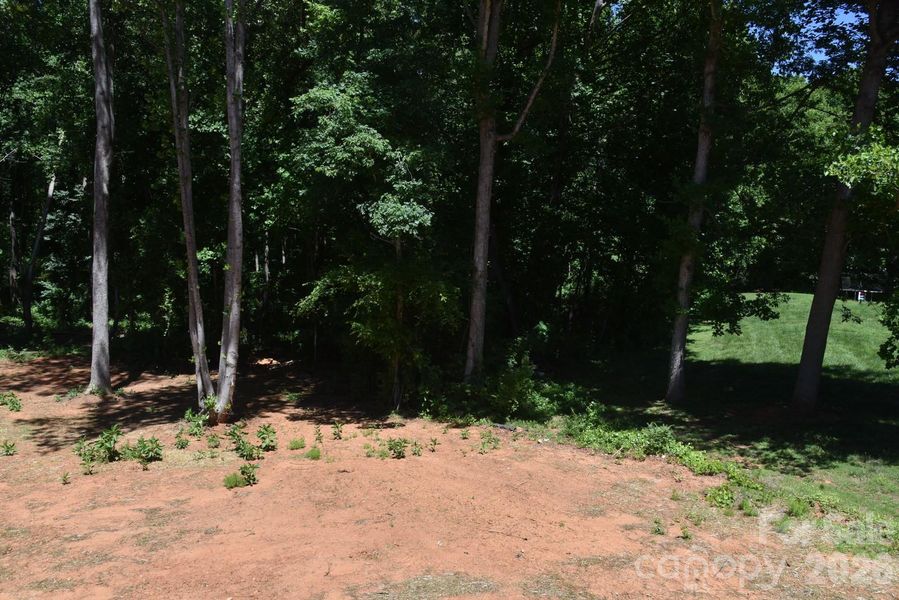 Natural landscape and outdoor views near  in Lincolnton (Image 36).