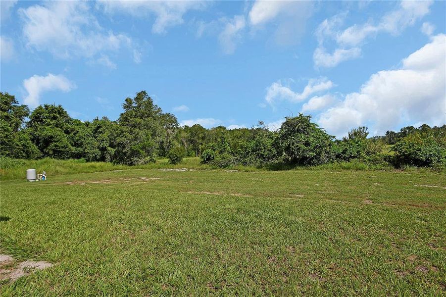 Natural landscape and outdoor views near  in Deland (Image 32).