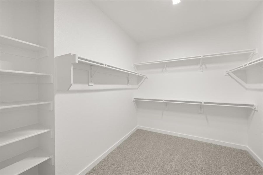 4615 Haws Trail_ 2571_Ivy- Primary Suite-5