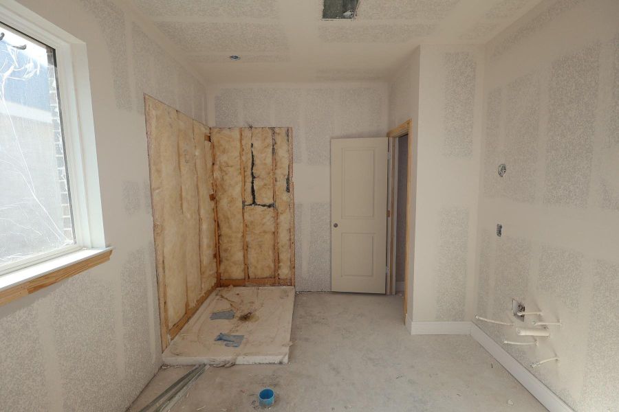 Primary bath - still under construction!