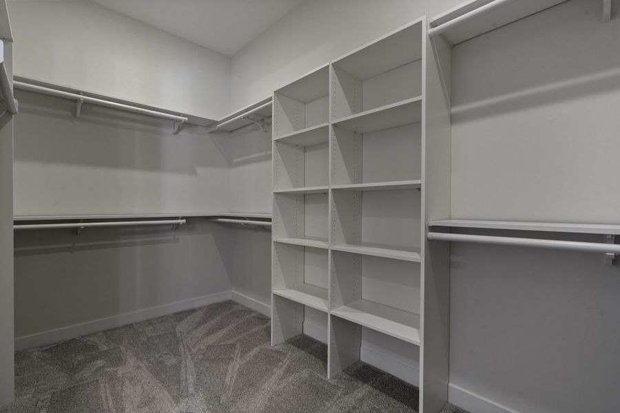 Expansive walk-in closet featuring built-in shelving, multiple hanging rods, and a plush carpeted floor