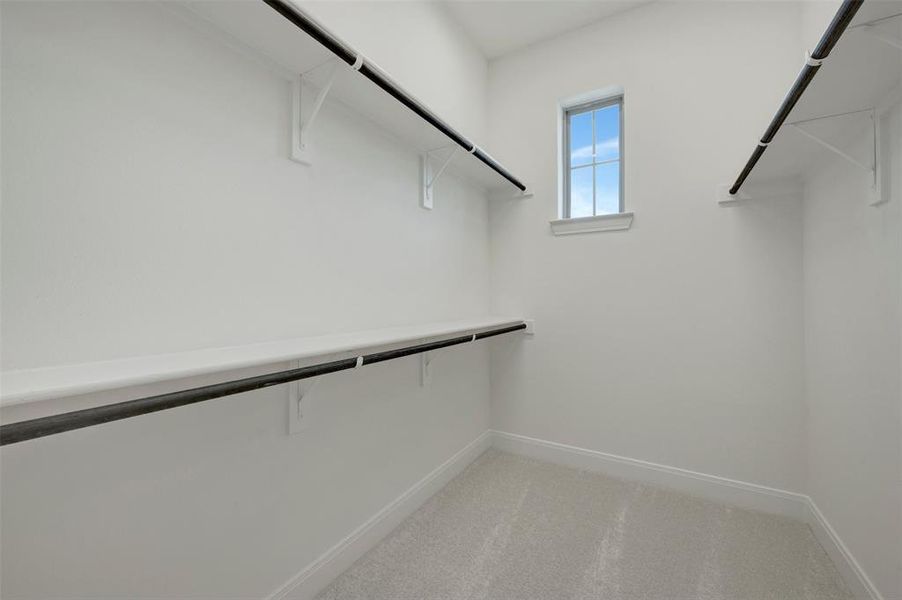 Spacious walk-in closet featuring light gray carpeting, white walls, and a single window providing natural illumination