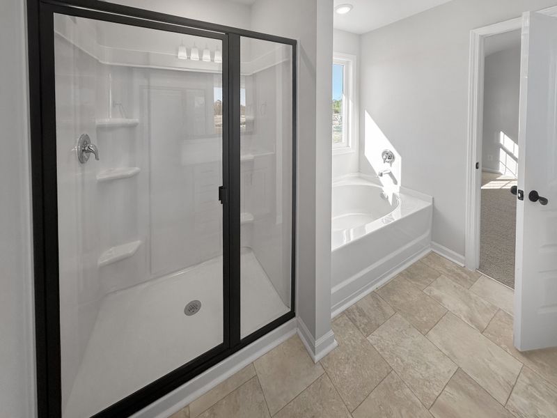 Image 25 of a home in The Village at Sassafras.