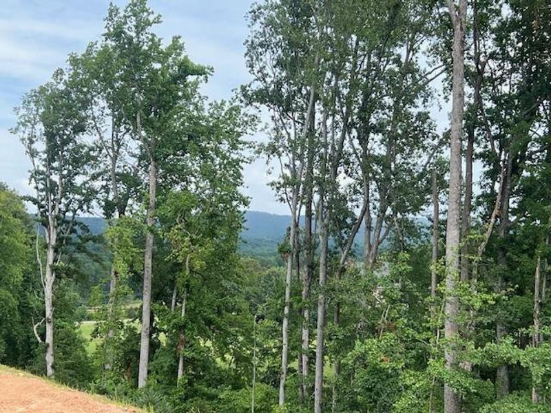 Natural landscape and outdoor views near Palisades Single Family in Cumming (Image 36). Natural landscape and outdoor views near Palisades Single Family in Cumming (Image 36).