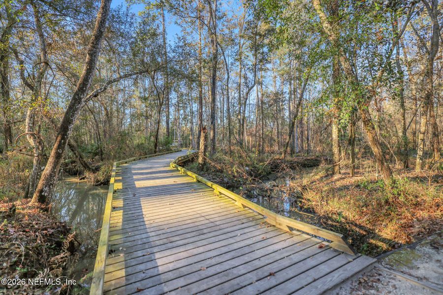 Natural landscape and outdoor views near  in St. Augustine (Image 72).