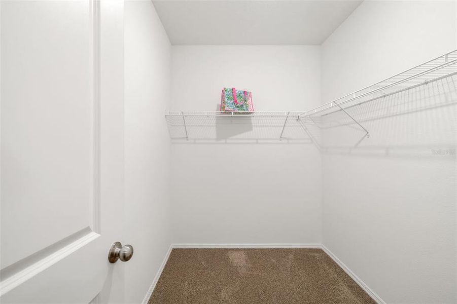 Spacious, unfurnished interior of a new home in Broadleaf, Parrish (Image 19).