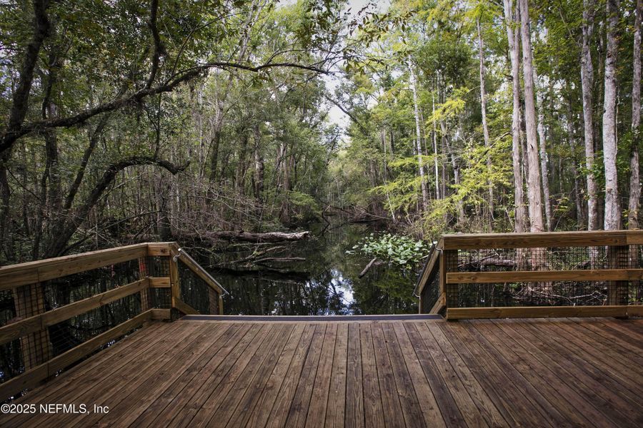 Natural landscape and outdoor views near Trailmark in St. Augustine (Image 43).