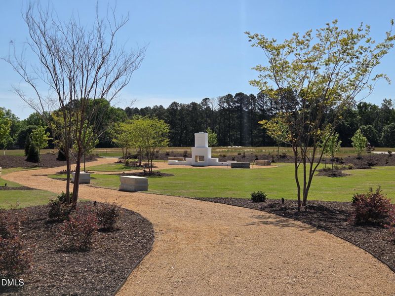 Pocket Park