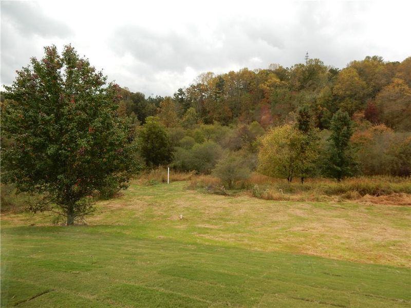 Natural landscape and outdoor views near  in Demorest (Image 32).