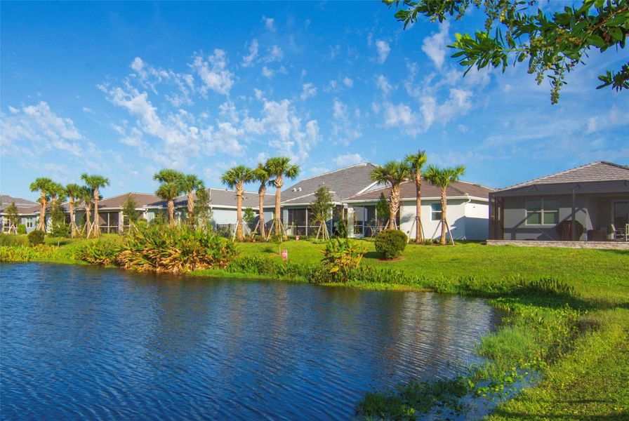 Natural landscape and outdoor views near in Vero Beach (Image 35). Natural landscape and outdoor views near in Vero Beach (Image 35).