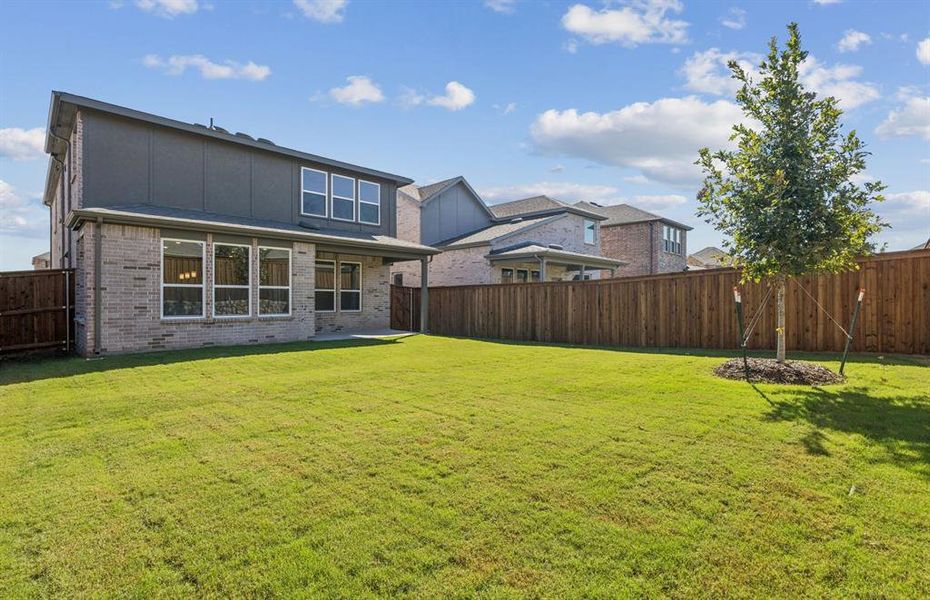 Beautiful large backyard