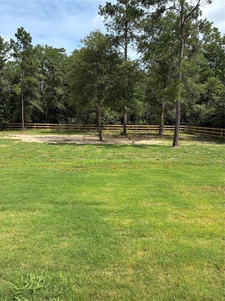 Natural landscape and outdoor views near  in New Waverly (Image 27).