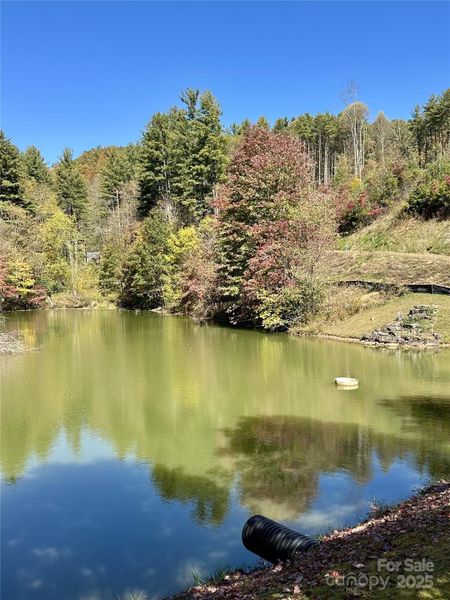 Natural landscape and outdoor views near  in Maggie Valley (Image 6).