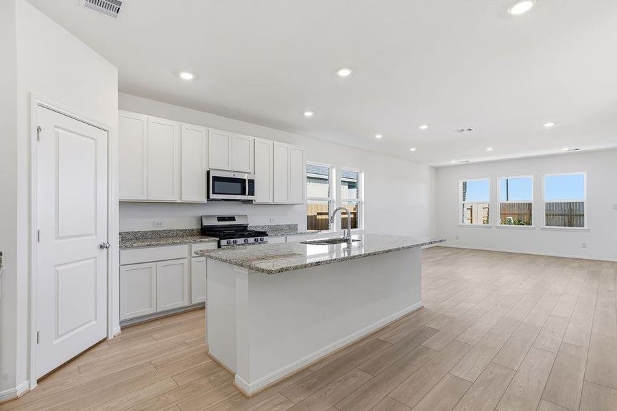 615 Yaupon Holly ~ Ready Now