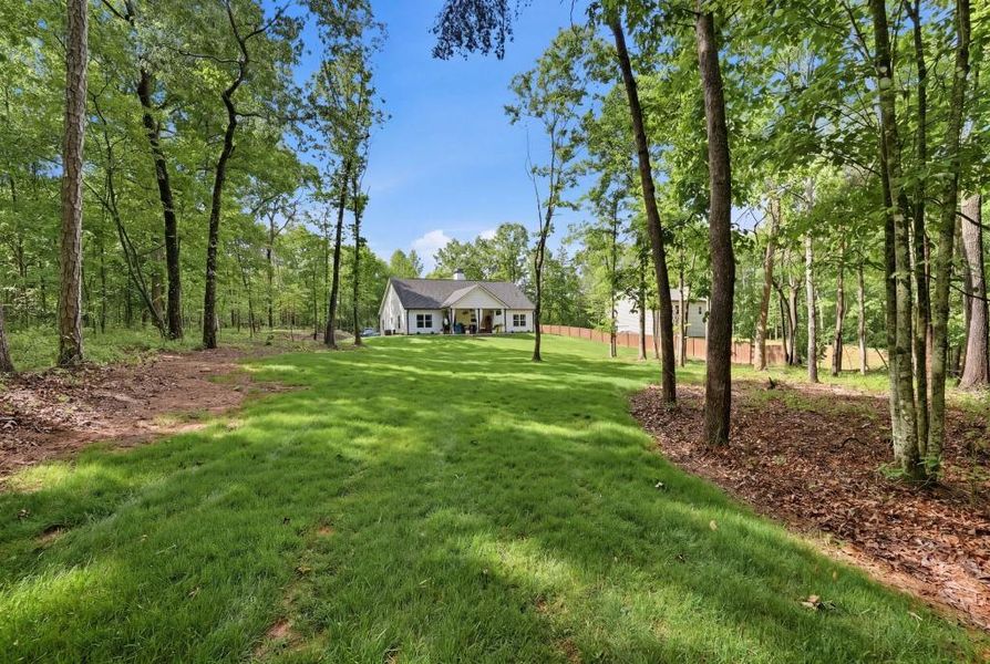 Natural landscape and outdoor views near  in Demorest (Image 37).