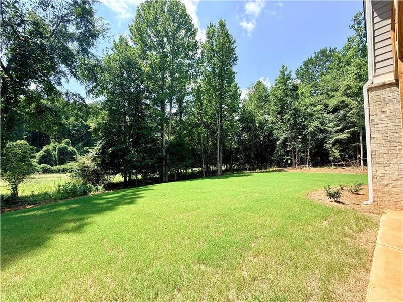 Natural landscape and outdoor views near  in Jefferson (Image 94).