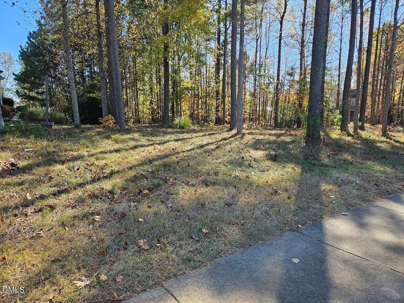 7779595755362655952 7779595755362655952