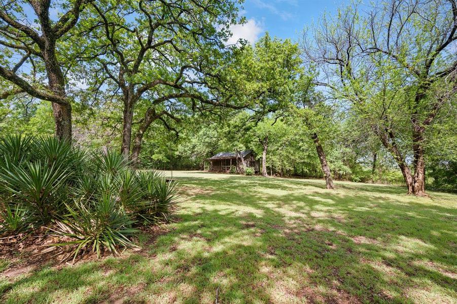 Natural landscape and outdoor views near in Alvarado (Image 29). Natural landscape and outdoor views near in Alvarado (Image 29).
