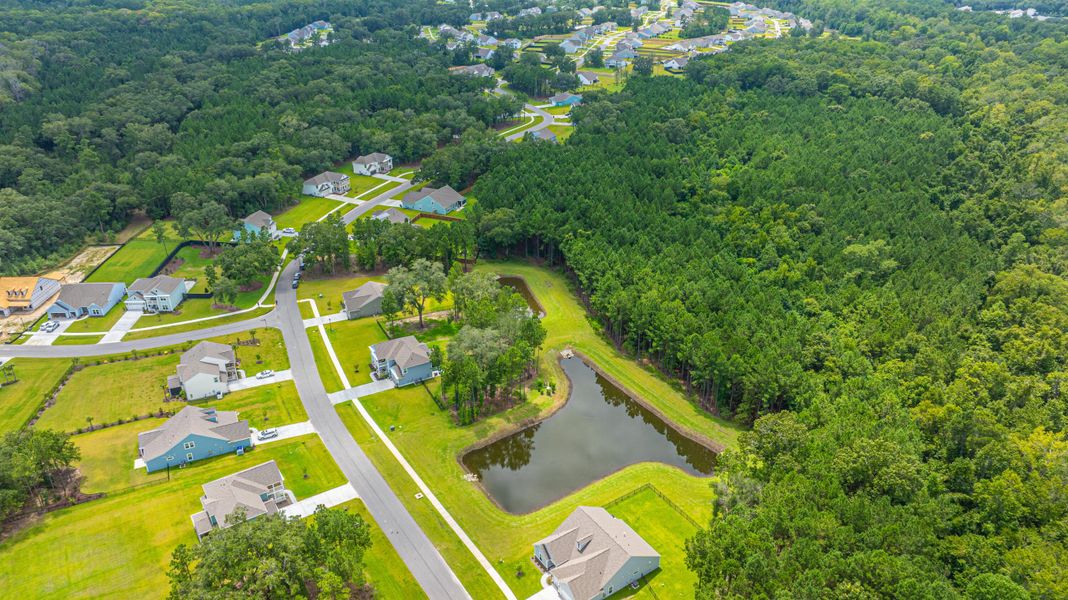 Image 66 of a home in Sea Island Preserve.