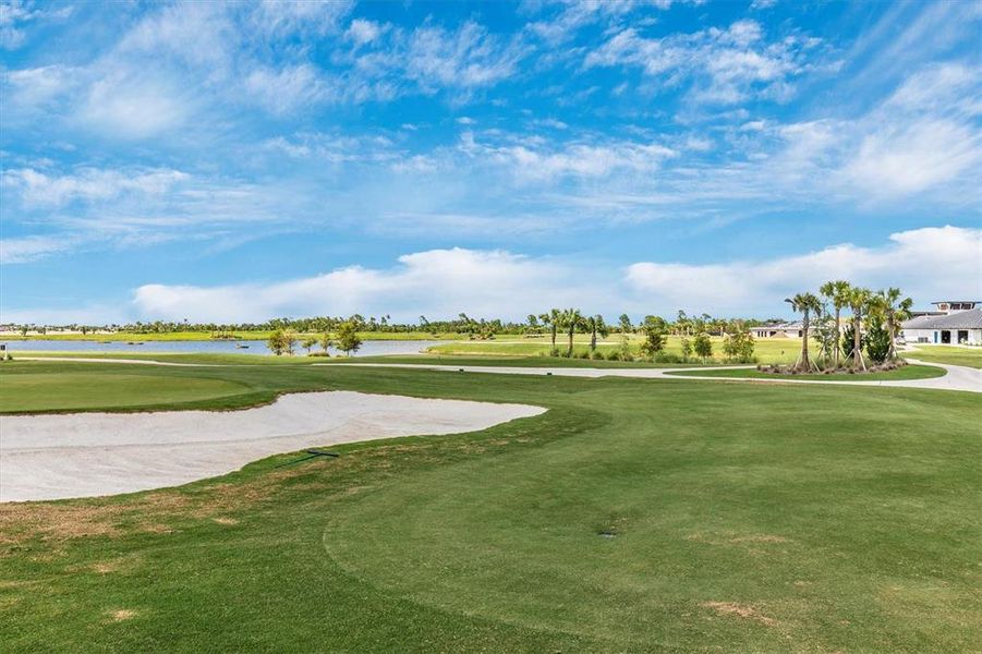 Natural landscape and outdoor views near  in Venice (Image 72).